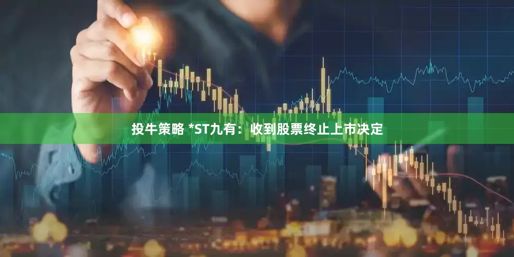 投牛策略 *ST九有：收到股票终止上市决定