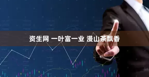 资生网 一叶富一业 漫山茶飘香