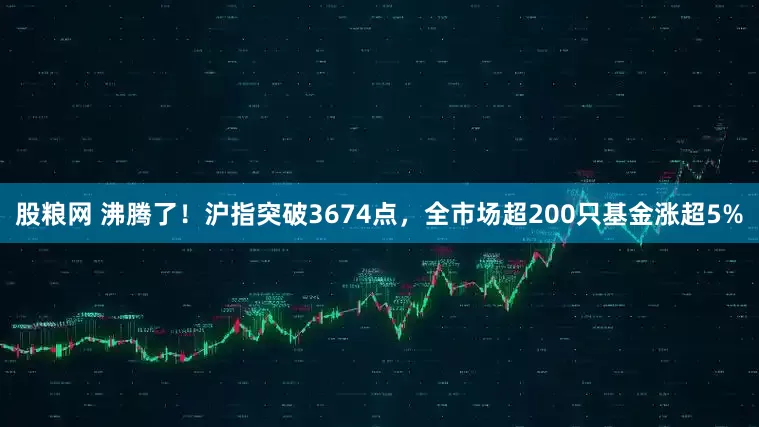 股粮网 沸腾了！沪指突破3674点，全市场超200只基金涨超5%