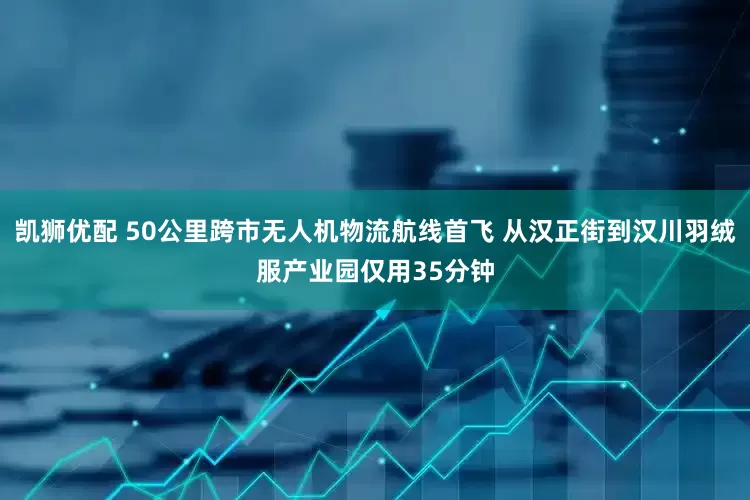 凯狮优配 50公里跨市无人机物流航线首飞 从汉正街到汉川羽绒服产业园仅用35分钟