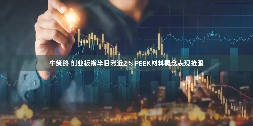 牛策略 创业板指半日涨近2% PEEK材料概念表现抢眼